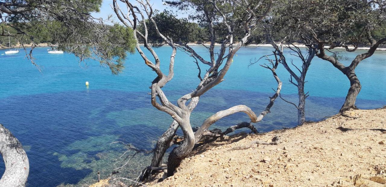 Roulotte Fenouillet Hotel Hyères Buitenkant foto